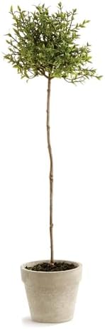 Napa Home & Garden Thyme Topiary, 16-Inch Artificial Plant in Decorative Pot, Faux Greenery for Tabletop, Mantel, Shelf and Indoor Home Decor, 1 Plant - Image 3