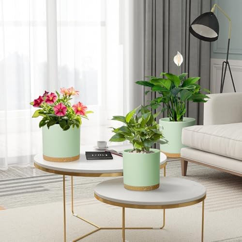 Meowell 8/7/6 inch Plant Pots, 3 Pack Cylinder Flower Pots for Outdoor Indoor Plants, Decorative Plastic Planters with Drainage Holes and Saucers for Garden House Plants, Green with Brown - Image 7
