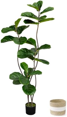 Artificial Fiddle Leaf Fig Tree 5FT with Cotton Basket by LuceAlberi