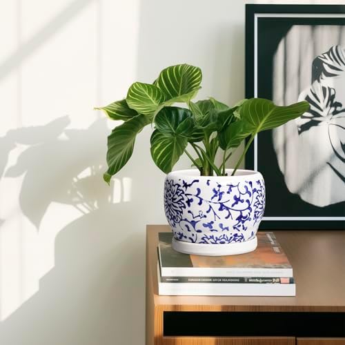 SQOWL 6 Inch Planter - Ceramic Plant Pots Indoor with Drainage Hole and Saucer, Round Ceramic Flower Pot Outdoor, Porcelain Decorative Planter, Backyard Decor, Gifts for Plant Lovers, Blue and White - Image 6