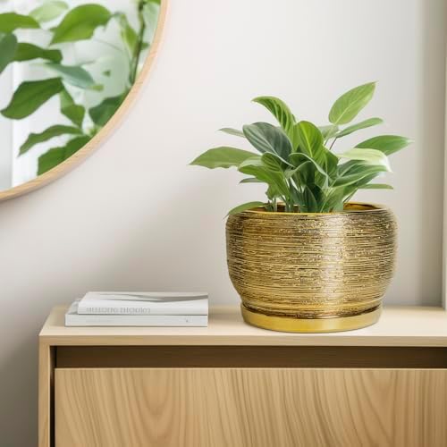 SQOWL Ceramic Planter for Indoor Plants - 10 Inch Plant Pot with Drainage Hole and Saucer, Modern Round Planter Outdoor, Large Decorative Flower Pot, Apartment Decor, Birthday Gifts, Gold - Image 7