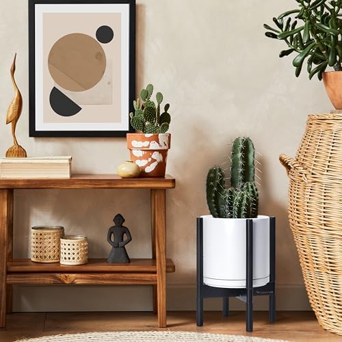 D'vine Dev Ceramic Pot with Ebony Wood Stand, White, 10 in, 55-B-L-1 - Image 6