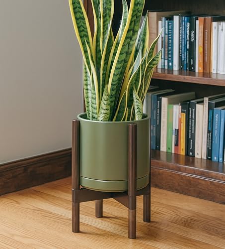D'vine Dev Ceramic Pot with Walnut Wood Stand, Olive, 10 in, 55-B-X-J - Image 6