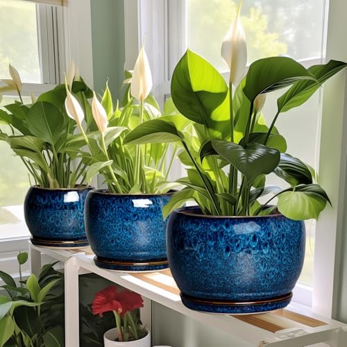 SQOWL 6 Inch Plant Pot - Ceramic Planter Pot with Drainage Hole and Saucer, Succulent Pot Round Flower Pot for Indoor Plants Outdoor, Blue - Image 6