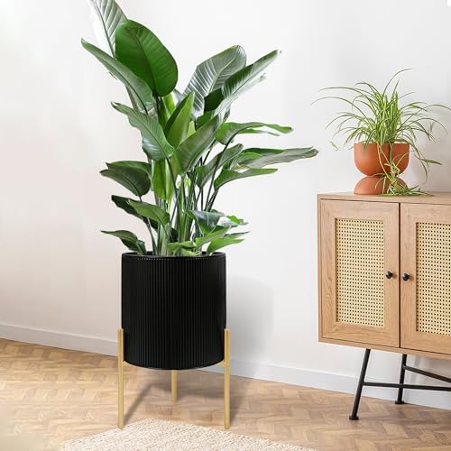 ARNIS Modern Plant Pots, Set of 2 Round Large Planters with Stand, Large Size Metal Pots with Drainage Holes for Living Room, Office, Garden or Balcony, 10.5 &12.25 Inch, Black & Gold - Image 7