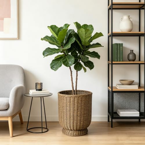 Rattan Planter, Woven Planter Basket for Plants Indoor Outdoor, Rattan Flower Pot, Decorative Plant Holder Basket for Garden Patio Boho Home Decor (Brown-Large:15.75" H x 13.4" W) - Image 7