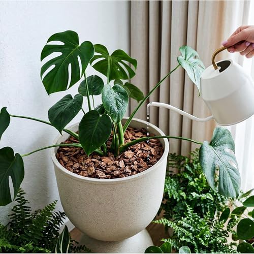 KOL Plastic Planters, Beige Urn Planters 2 Pack, 18 Inch+23 Inch - Image 6