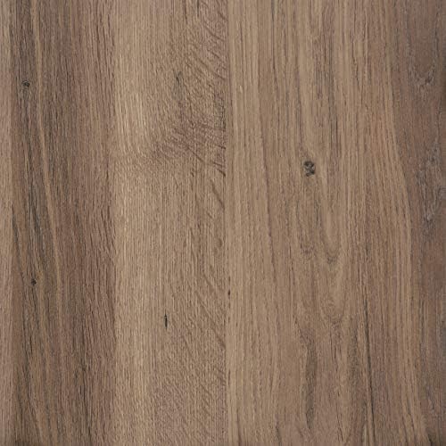 Sauder 5 Tier Book Shelf Wooden Bookcase Multipurpose Bookshelf for Home Office, Living Room, in Salt Oak finish - Image 6