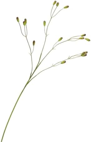 3Pcs 28.3in Artificial Sanguisorba Fruit Stems,Natural Dried Style Greenery by GXDDZM