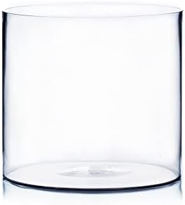 WGV Cylinder Vase, Width 10", Height 10", Clear Wide Large Diameter Flower Glassware, Floral Container, Planter Terrarium for Wedding Party Event, Home Accent Decor, 1 Piece by WGVInternational-OpusGlassware