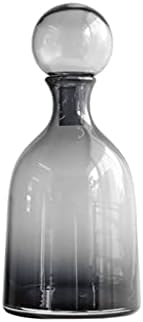 GRFIT Decorative Vase Glass Vase with Lid Modern Home Restaurant Coffee Table Office Desktop Decoration Vase Transparent Vase Ceramic Vase Glass Vase Hydroponic Flower Vase (Color : F) by Unknown