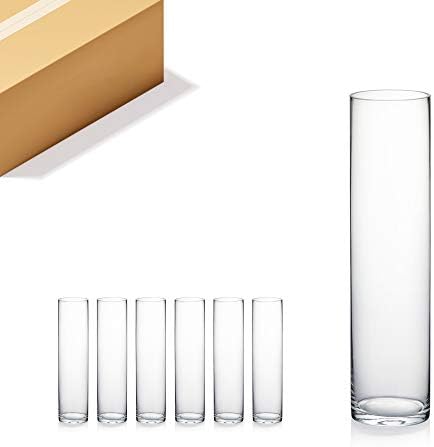 WGVI Quality Thick Weighted Tall Clear Cylinder Glass Vases, 4" W x 16" H, Flower Arrangement Floating Candle Holders Wedding Centerpieces Event Floral Container Home Decor, Bulk Wholesale, 6 Pcs by WGVInternational-OpusGlassware