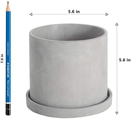 Ekirlin 6 Inch Indoor Plant Pot, Natural Cement Grey Garden Planters, Outdoor Concrete Flower Plant Pots with Drain Hole Saucer Tray, Modern Succulents Containers for Home Decor,Office and Most Plants - Image 4