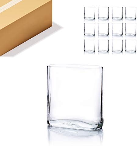 WGV Tall Rectangle Block Vase Bulk, Width 3", Length 7", Height 8", Clear Round Glass Floral Container Wedding Party Event Home Office Decor, 12 Pieces by WGVInternational-OpusGlassware