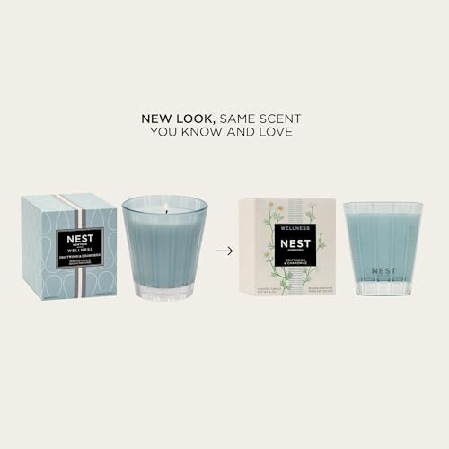 NEST New York Scented Classic Candle, Driftwood & Chamomile - 8.1 oz - Up to 60-Hour Burn Time - Reusable Glass Vessel - Image 2