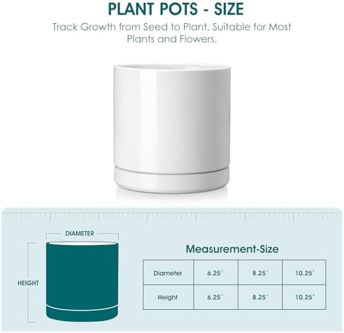 vancasso Ceramic Plant Pots, 6.25 Inch Ceramic Pot for Plants, Planters Pots for Indoor Plants with Drainage Holes, Flower Pot for Indoor House Plant, White - Image 2