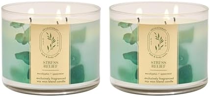 Bath & Body Works 3-Wick Candle, Eucalyptus Spearmint, 2 Pack by BathBodyWorks