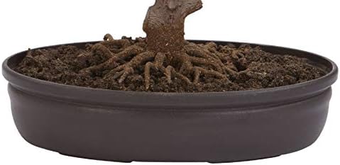 Nearly Natural Cherry Blossom Bonsai Silk Tree, Pink - Image 5