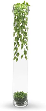 WGVI Quality Thick Weighted Tall Clear Cylinder Glass Vases, 4" W x 28" H, Flower Arrangement Floating Candle Holders Wedding Centerpieces Event Floral Container Display Décor, Bulk Wholesale, 6 Pcs - Image 5