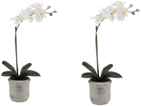 CG Hunter, Faux Phalaenopsis White Orchid Plant, Set of 2, 22 in, White by CGHunter