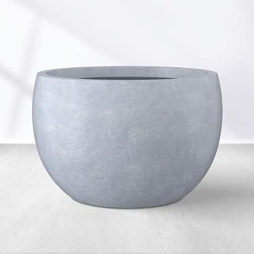 Kante Small Round Bowl Blue Gray Concrete Planter 11.8" Dia, Outdoor by Unknown