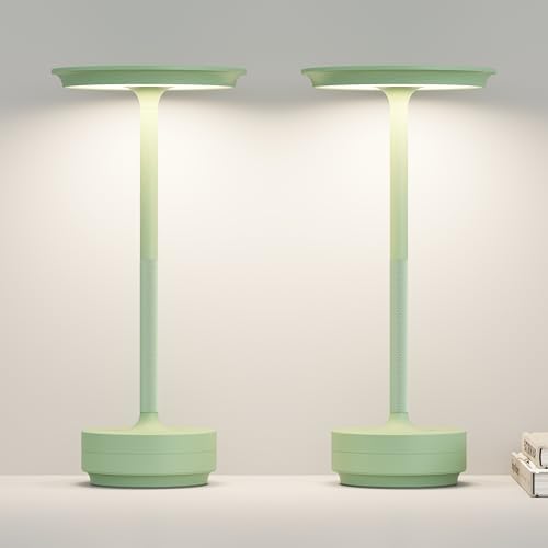 Cordless Rechargeable Table Lamps,Portable Battery Desk Lamp by ZTFLOS
