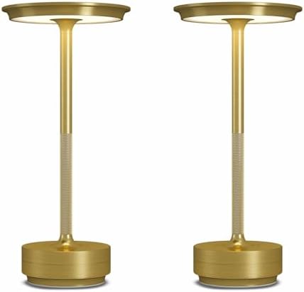 2 Pack Cordless Table Lamps Rechargeable, 5000mAh LED Table Light by FDIDC