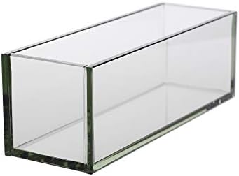 WGV Rectangle Plate Vase, Length 12", Width 4", Height 4", Glass Container, Floral Dispaly, Candy Holder, Planter Terrarium for Wedding Party Event, Home Office Décor, Clear, 1 Piece by WGVInternational-OpusGlassware