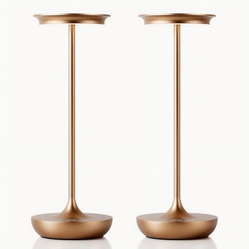 LED Rechargeable Cordless Table Lamp Battery Operated Light 2P Bronze by Tpczqj