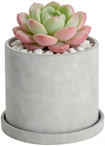 Ekirlin 6 Inch Indoor Plant Pot, Natural Cement Grey Garden Planters, Outdoor Concrete Flower Plant Pots with Drain Hole Saucer Tray, Modern Succulents Containers for Home Decor,Office and Most Plants by Ekirlin