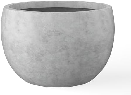 Kante Accent Round Bowl Pale Gray Concrete Planter 15.7" Dia, Outdoor by Unknown