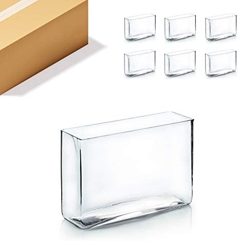 WGV Long Rectangle Block Vase Bulk, Width 3", Length 10", Height 7", Clear Glass Floral Container Wedding Party Event Home Office Decor, 6 Pieces by WGVInternational-OpusGlassware