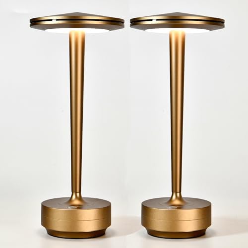 Cordless Rechargeable LED Table Lamp Set of 2 Bronze by Tpczqj