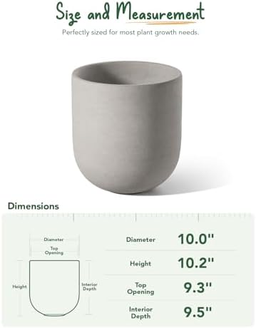 LE TAUCI 10 Inch Plant Pot, Ceramic Pots for Plants, Neutral Gray - Image 5