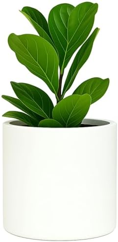 Fox & Fern Large Planter for Indoor or Outdoor, White Matte, 12 Inch by FoxFern