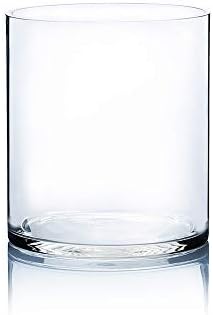WGV Cylinder Vase, Width 9", Height 10", Clear Wide Large Diameter Flower Glassware, Floral Container, Planter Terrarium for Wedding Party Event, Home Accent Decor, 1 Piece by WGVInternational-OpusGlassware