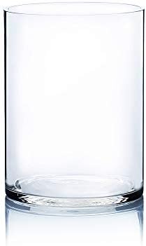 WGV Cylinder Vase, Width 9", Height 12", Clear Wide Large Diameter Flower Glassware, Floral Container, Planter Terrarium for Wedding Party Event, Home Accent Decor, 1 Piece by WGVInternational-OpusGlassware