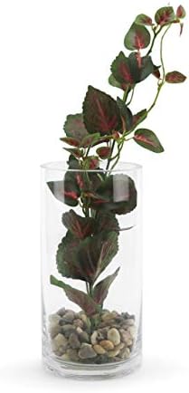 WGVI Quality Thick Weighted Clear Cylinder Glass Vases, 4" W x 8" H, Flower Arrangement Floating Candle Holders Wedding Centerpieces Terrarium Planter Floral Pen Brush Storage Container, 1 Piece - Image 4