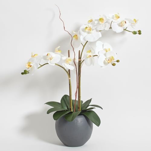 CG Hunter, Faux White Orchid Plant, 25 in, Grey, Home Decor by CGHunter