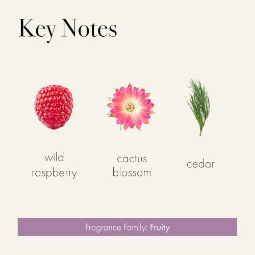 LAFCO New York Classic Reed Diffuser, Midnight Cactus - 6 oz - Up to 3 Months Fragrance Life - Reusable Glass Vessel - Natural Wood Reeds - Made in the USA - Image 3