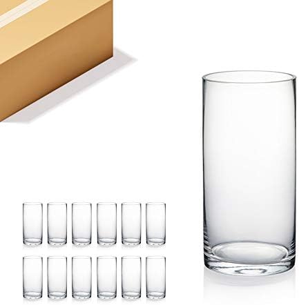 WGVI Quality Thick Weighted Clear Cylinder Glass Vases, 4" W x 8" H, Flower Arrangement Floating Candle Holders Wedding Centerpieces Terrarium Planter Floral Storage Container, Bulk Wholesale, 12 Pcs by WGVInternational-OpusGlassware