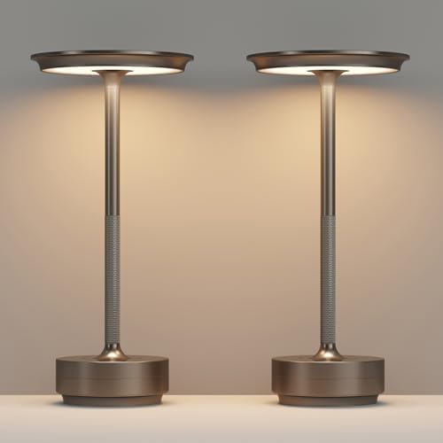 2 Pack Cordless Table Lamps Rechargeable, 5000mAh LED Table Light by FDIDC