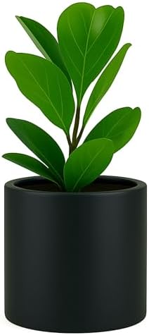 Fox & Fern Large Planter for Indoor or Outdoor, Black Matte, 10 Inch by FoxFern