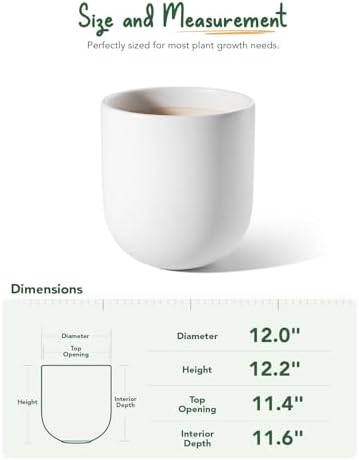 LE TAUCI 12 Inch Ceramic Pots for Plants, Large Planter, White - Image 2