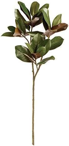 Napa Home & Garden Magnolia Leaf STEM 42.5" by Napa+Home+%26+Garden