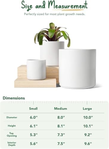 LE TAUCI 10+8+6 Inch Ceramic Pots for Plants, Indoor Planters with Drainage Hole and Plug, Modern Cylinder Flower Pots Set of 3 for Living Room and Bedroom, Satin, White - Image 2