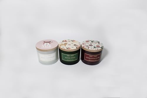 Sand + Fog Scented Candle - Winter White – Additional Scents and Sizes – 100% Cotton Lead-Free Wick - Luxury Air Freshening Jar Candles - Perfect Home Decor – 12oz - Image 6