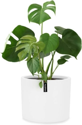 Fox & Fern Large Planter for Indoor or Outdoor, White Matte, 10 Inch by FoxFern