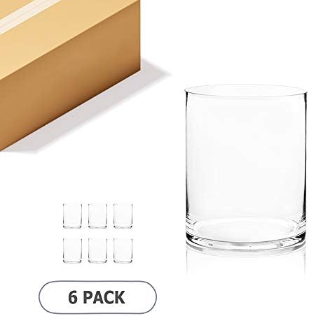 WGV Cylinder Vase Bulk, Width 8", Height 10", Clear Wide Large Diameter Flower Glassware, Floral Container, Planter Terrarium for Wedding Party Event, Home Accent Decor, 6 Pieces by WGVInternational-OpusGlassware