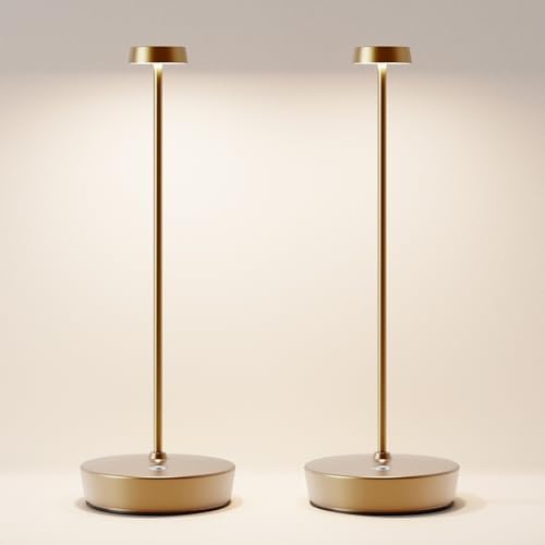 2 Pack Rechargeable Cordless Table Lamp, 6000mAh Battery Table Light by SIKEVHT